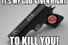 GunNRA