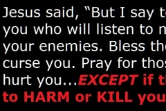 Luke6.28
