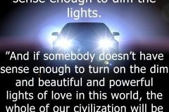 MLKdimlights